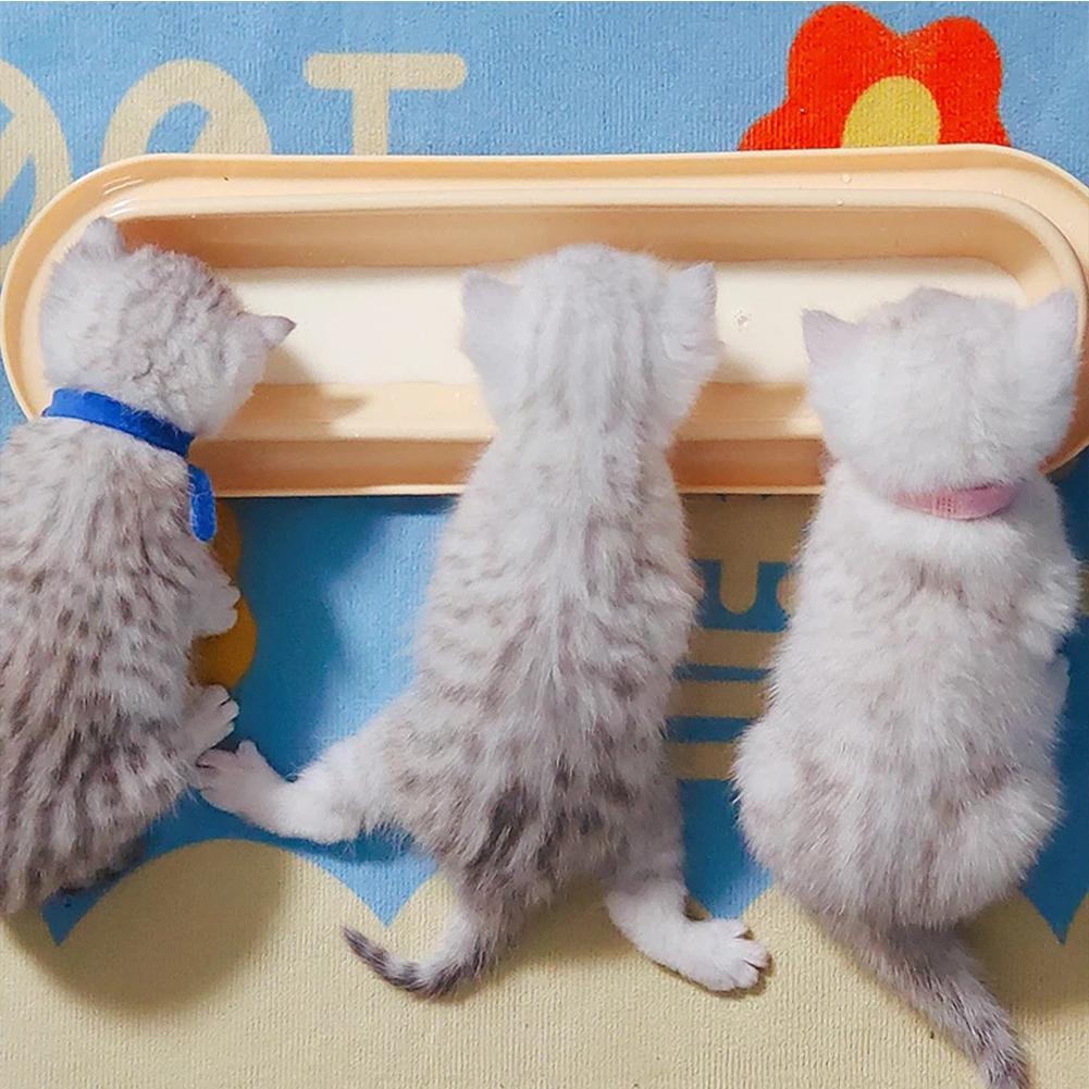 Pet Bowls Dog Food Water Feeder Leakproof Cat Dog Food Feeder Pet Supplies For Multiple Kitten Puppy Hotselling