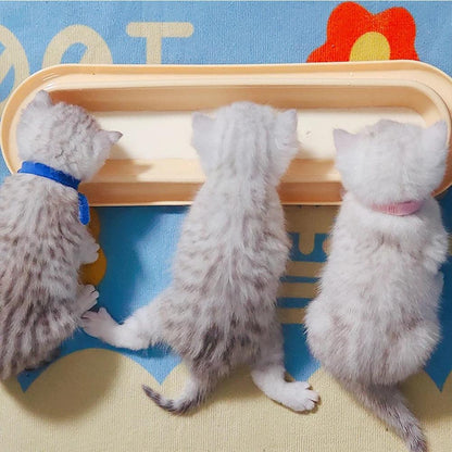 Pet Bowls Dog Food Water Feeder Leakproof Cat Dog Food Feeder Pet Supplies For Multiple Kitten Puppy Hotselling