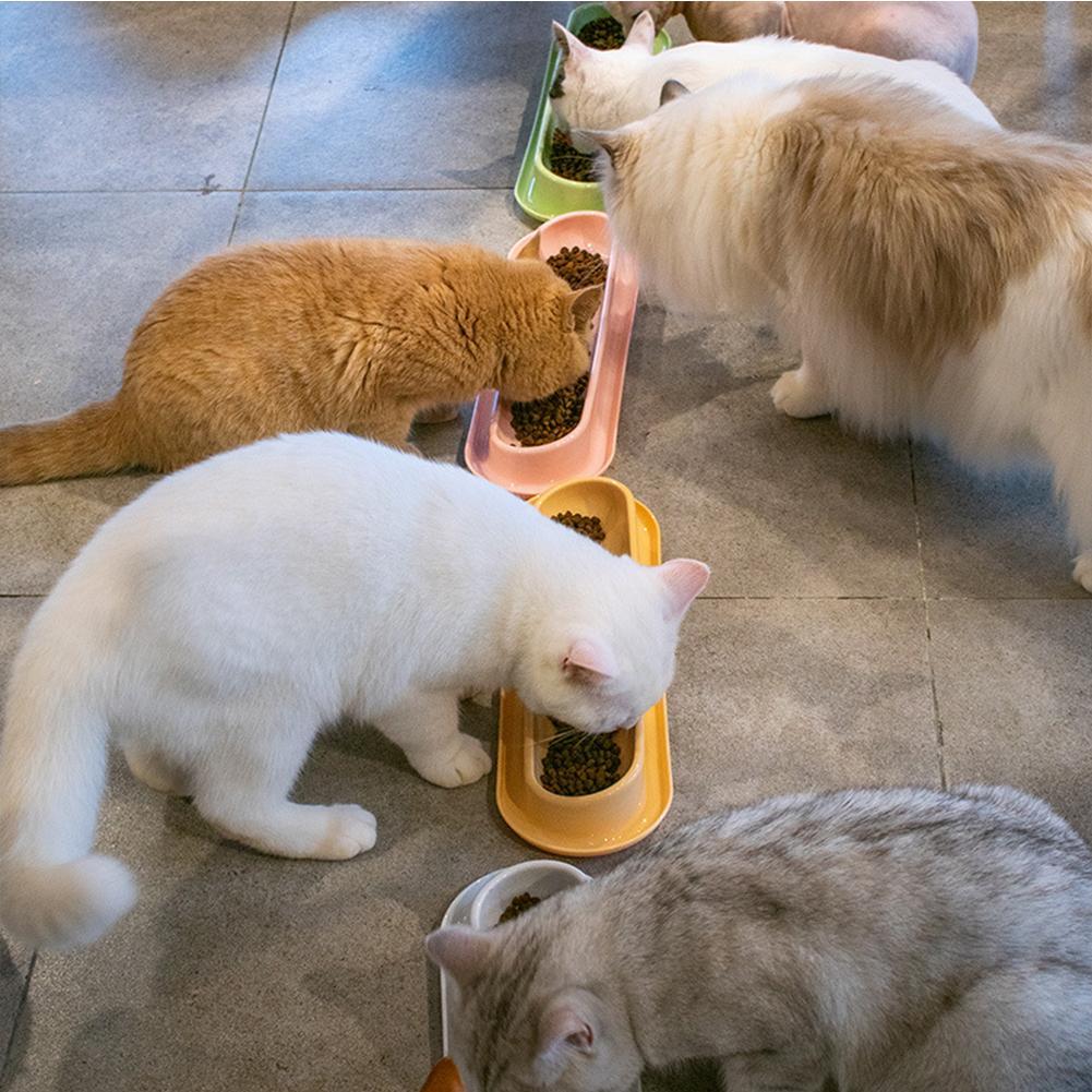 Pet Bowls Dog Food Water Feeder Leakproof Cat Dog Food Feeder Pet Supplies For Multiple Kitten Puppy Hotselling